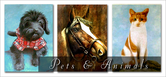 Left: Nelson Dog Portrait Middle: Beamer Horse Portrait Right: Heinz Cat Portrait
